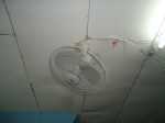 New Ceiling Fan