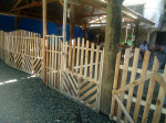 Fence Project (3)